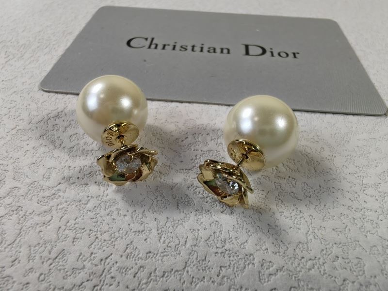 Christian Dior Earrings